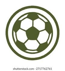 4-20！28次出手0罚球！布朗炮轰裁判